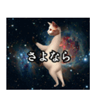 ⚫踊る宇宙猫40匹セット(セリフ付き)（個別スタンプ：23）