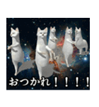 ⚫踊る宇宙猫40匹セット(セリフ付き)（個別スタンプ：24）