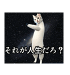 ⚫踊る宇宙猫40匹セット(セリフ付き)（個別スタンプ：26）