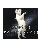 ⚫踊る宇宙猫40匹セット(セリフ付き)（個別スタンプ：28）