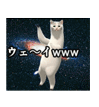 ⚫踊る宇宙猫40匹セット(セリフ付き)（個別スタンプ：29）