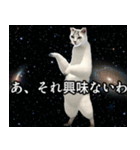 ⚫踊る宇宙猫40匹セット(セリフ付き)（個別スタンプ：31）