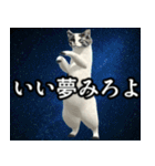 ⚫踊る宇宙猫40匹セット(セリフ付き)（個別スタンプ：33）