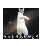 ⚫踊る宇宙猫40匹セット(セリフ付き)（個別スタンプ：34）