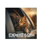 洋画に影響受けた猫（個別スタンプ：5）