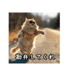 洋画に影響受けた猫（個別スタンプ：19）