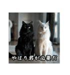 洋画に影響受けた猫（個別スタンプ：21）