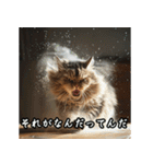 洋画に影響受けた猫（個別スタンプ：33）