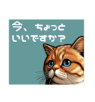 にゃ！スタンプ第二弾 ビジネスと敬語 猫（個別スタンプ：12）