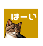 にゃ！スタンプ第二弾 ビジネスと敬語 猫（個別スタンプ：17）