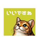 にゃ！スタンプ第二弾 ビジネスと敬語 猫（個別スタンプ：37）