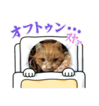 一日一日を生きる（個別スタンプ：38）