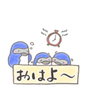 一年中つかえる！ぷにっとコルリ（個別スタンプ：13）