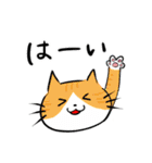 funny cat ほっこり猫2（個別スタンプ：3）