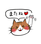 funny cat ほっこり猫2（個別スタンプ：5）