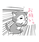 funny cat ほっこり猫2（個別スタンプ：35）