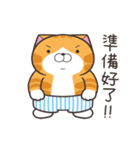 ランラン猫 52 (台湾版)（個別スタンプ：13）