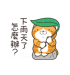 ランラン猫 52 (台湾版)（個別スタンプ：24）