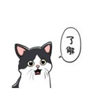 びっくりした猫(ハチワレ)（個別スタンプ：2）