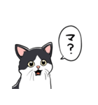 びっくりした猫(ハチワレ)（個別スタンプ：3）
