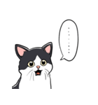 びっくりした猫(ハチワレ)（個別スタンプ：4）