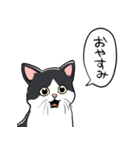 びっくりした猫(ハチワレ)（個別スタンプ：12）