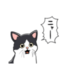 びっくりした猫(ハチワレ)（個別スタンプ：13）