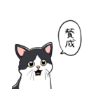 びっくりした猫(ハチワレ)（個別スタンプ：18）