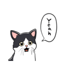 びっくりした猫(ハチワレ)（個別スタンプ：19）