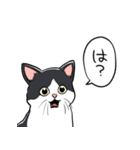 びっくりした猫(ハチワレ)（個別スタンプ：24）