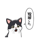 びっくりした猫(ハチワレ)（個別スタンプ：28）
