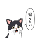 びっくりした猫(ハチワレ)（個別スタンプ：29）