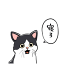 びっくりした猫(ハチワレ)（個別スタンプ：31）