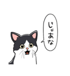 びっくりした猫(ハチワレ)（個別スタンプ：32）