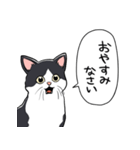 びっくりした猫(ハチワレ)（個別スタンプ：35）