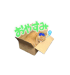 茶トラねこアラシ（個別スタンプ：4）