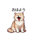 ドット絵 マンチカン クリーム 日常会話（個別スタンプ：1）