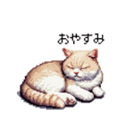 ドット絵 マンチカン クリーム 日常会話（個別スタンプ：2）