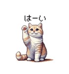 ドット絵 マンチカン クリーム 日常会話（個別スタンプ：9）