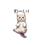 ドット絵 マンチカン クリーム 日常会話（個別スタンプ：20）