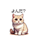 ドット絵 マンチカン クリーム 日常会話（個別スタンプ：37）