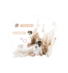 ♡Aki様（個別スタンプ：7）
