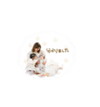 ♡Aki様（個別スタンプ：8）