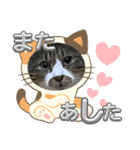ねこちゃんスタンプ（また明日）（個別スタンプ：1）