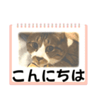 ねこちゃんスタンプ（また明日）（個別スタンプ：4）