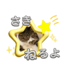 ねこちゃんスタンプ（また明日）（個別スタンプ：8）