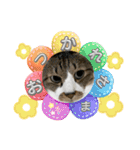 ねこちゃんスタンプ（また明日）（個別スタンプ：12）