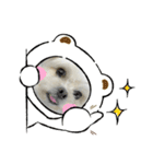 らんまるちゃん3（個別スタンプ：4）