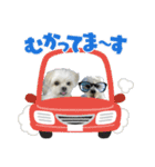 らんまるちゃん3（個別スタンプ：14）