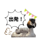 愉快！野鳥詰め合わせセット2！！（個別スタンプ：29）